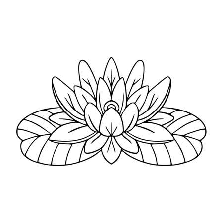 Water lily vector doodle. Floral decorative element for logo, icon, print. Line art lotus.のイラスト素材
