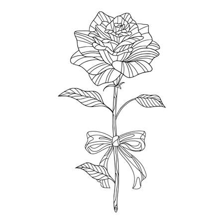 Beautiful single rose outline for invitation decor. Coloring book page for adult for anti stress. Vector isolated with doodle  elements for print.のイラスト素材
