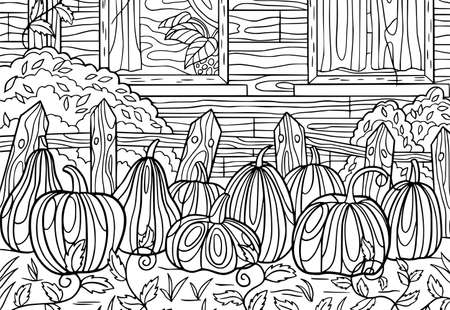 Pumpkin harvest farm scene coloring book page for adult. Autumn nature horizontal banner vector illustration.のイラスト素材