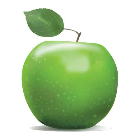 A big green ripe apple with leaf. Vector photo realistic colorful illustration for print, web, decoration. Food art 3D. Isolated on white.のイラスト素材
