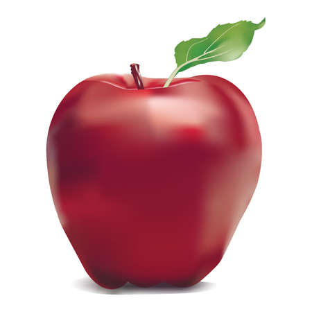 A big red ripe apple with leaf. Vector photo realistic illustration 3D for print, web, kitchen decor. Fresh organic art. Healthy food.のイラスト素材