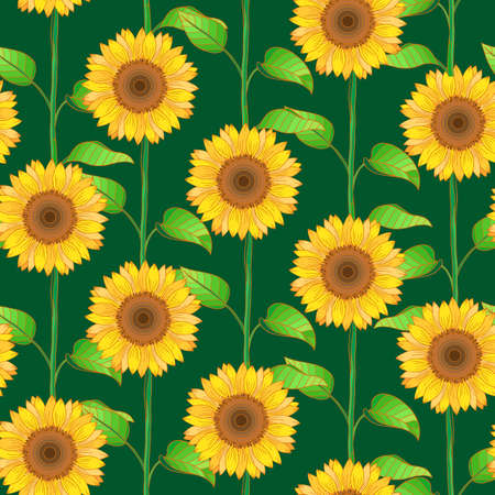 Sunflower seamless pattern on green background. Sunny yellow artwork. Botanical vector illustration for textile, wrapping paper, wallpaper, fabric, decor. Isolated organic art.のイラスト素材