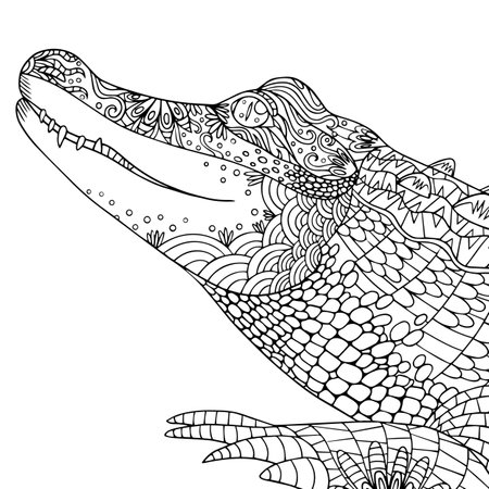 Vector crocodile face coloring page. Outline illustration for coloring book for adults, print, decoration. Isolated wild animal art with doodle, pattern.のイラスト素材