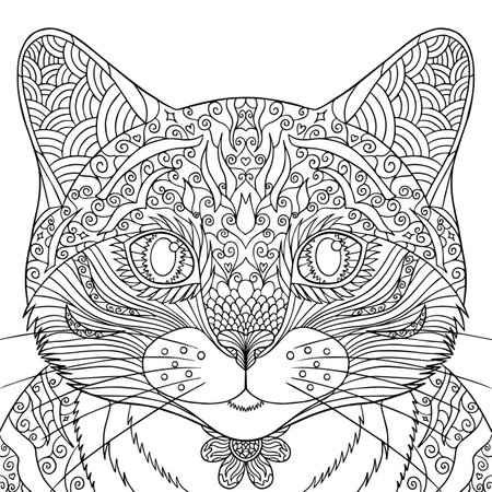 Vector outline illustration of a cat for print, coloring book for adults. Cat's face coloring page. Line art with doodle and zentagle elements. Pet portrait. Kitten with big eyes. Isolated on white.のイラスト素材