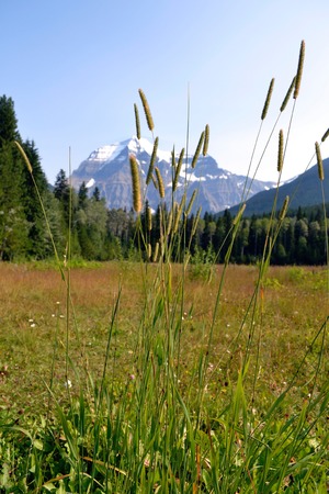 Mt. Robson Mountainの写真素材