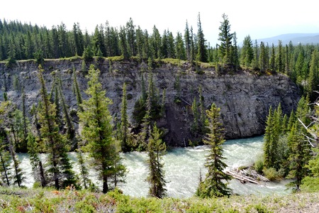 Scenic River with treesの写真素材