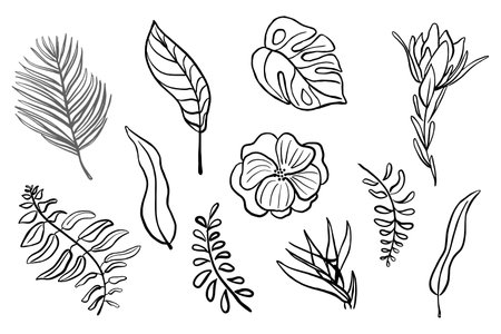 One line drawing set with tropical leaves and flowers. Abstract minimalistic style plants. Botanical elements. Vector illustration for posters, cards, textile, logo.のイラスト素材