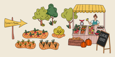 Local food, Farmer's market concept. Female farmer selling fresh fruits and vegetables at booth. Garden and garden beds. Doodle style hand drawn vector illustration.のイラスト素材