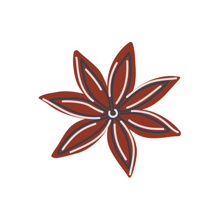 Star anise. Indian spice for food and drink. Badian seed for mulled wine. Hand drawn flat design vector illustration.のイラスト素材