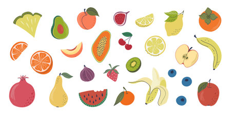 Set of fruits and berries. Organic vegetarian food.  Collection of organic vitamins and healthy nutrition. Hand drawn flat design vector illustration.のイラスト素材