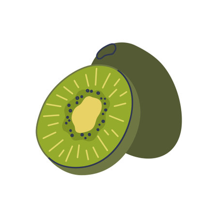 Kiwi fruit, whole and sliced. Delicious exotic green color fruit isolated on transparent background. Hand drawn flat design vector illustration.のイラスト素材