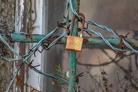 Love Padlockの写真素材