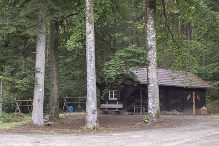 small hunter wooden hut in the forest with trees in the front viewの写真素材