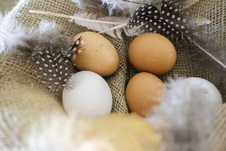 different coloured eggs with feathers lying on a jute bagの写真素材