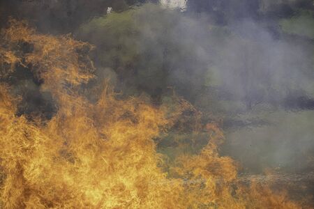 blaze fire flame texture background