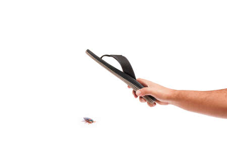 An arm killing a cockroach with a sandal on white backgroundの写真素材