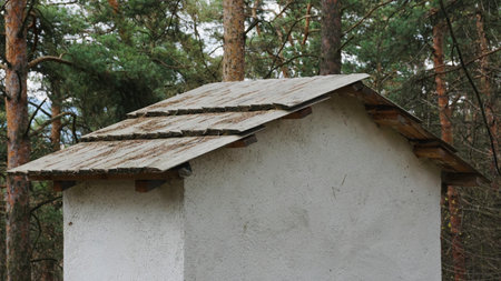 Old house with a roof made of stone in the pine forest.