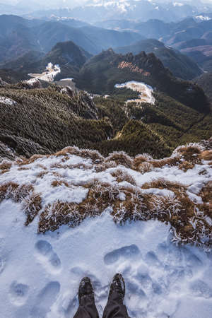 seeing the natureの写真素材