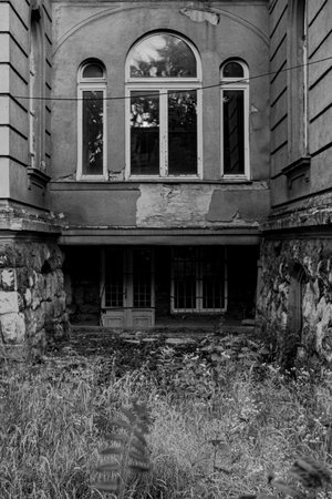 a window of an abandoned building with vegetation underneath, photographed in black and white in Hungaryの写真素材