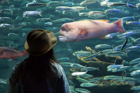Tokyo, Japan; June 12 2016: a girl watching a fish in the Sunshine City aquarium in Ikebukuroのeditorial素材