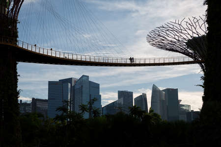 Supertree Grove at the Gardens by the Bayのeditorial素材