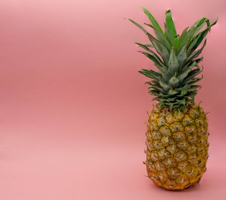 Isolated pineapple on a pink background on the right of the image with space for text on the left....