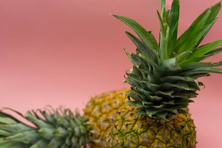 Isolated pineapples on a pink background with space for text in the upper left of the image....