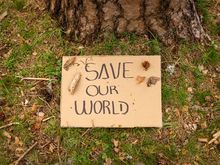 Cardboard banner with environmental message on the ground next to a tree in the forest. Save our world. Concept of sustainability.の写真素材