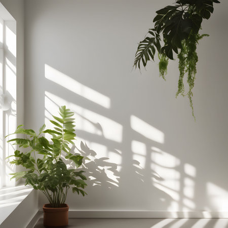 3d render of interior design with plant and shadow on the wallの素材