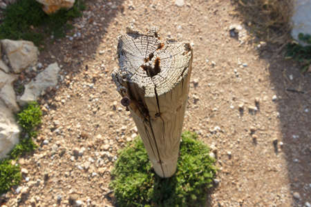 A broken stick of a fence