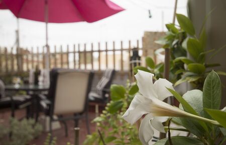 Terrace table with pink umbrella and flowersの写真素材