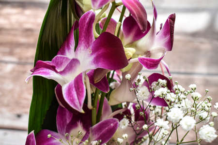 close up of purple flowerの写真素材