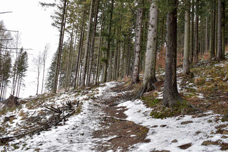 Beskydy mountains in czech republicの写真素材