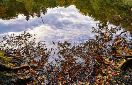 Clouds are reflected in the forest lake.の写真素材