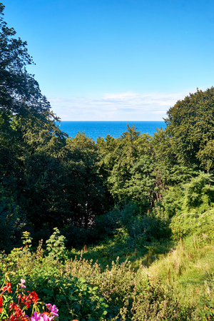 View from the slope to the Baltic Sea. In Lohme on the island of Rugen.の写真素材