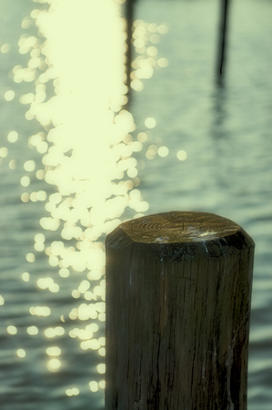 Wooden pole in the water with bright golden reflections and bokeh background blur.の写真素材