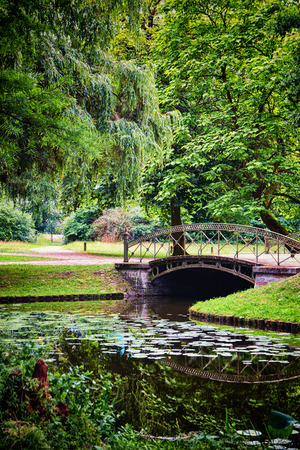 Old bridge over the canal in the mystical forest. As in fairy tales.の写真素材