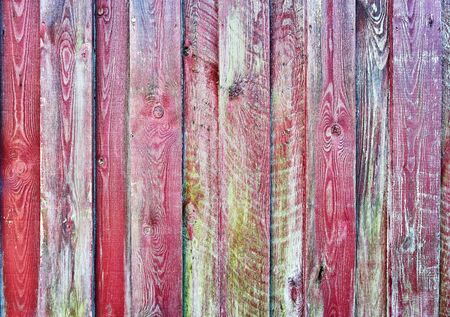 Wooden background in colorful and nature colors.の写真素材