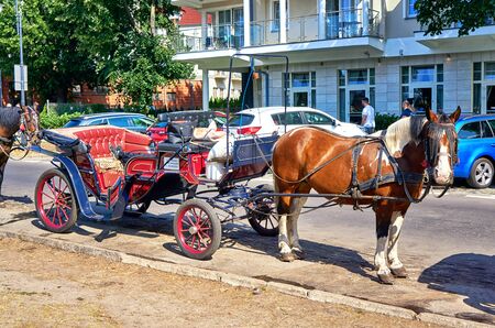 City tour in a horse-drawn carriage in Swinoujscie. Swinoujscie, Poland