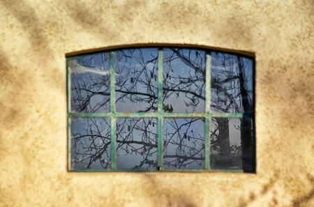 Old window with metal bars and tree reflected in the background.