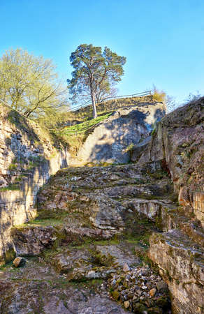 A tree on an old rock at the Regenstein castle ruins in Blankenburg. Harz National Park. Saxony-Anhalt, Germany.のeditorial素材