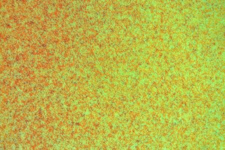Light green dotted abstract background with fine texture.