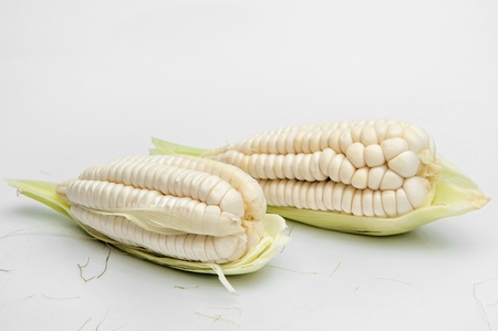 choclo, giant white corn peruvian food. On a white backgroundの写真素材