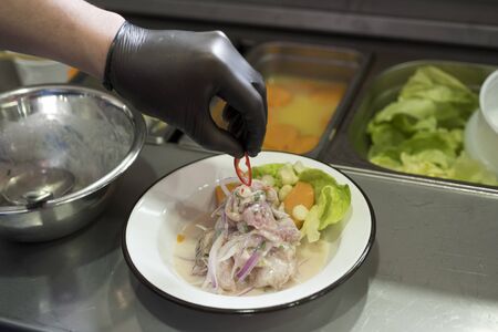 Male chef garnishing his dish, ready to serve. peruvianの写真素材