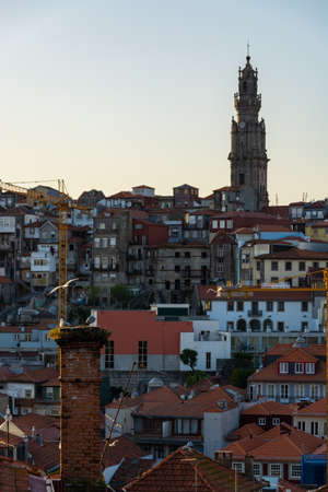 Beautiful view to part of the city of Porto and Clerigos tower. Colorful buildings. Seagulls in the foreground. Construction crane.の写真素材