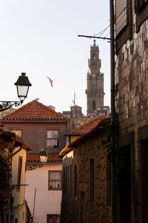 Clerigos tower and flying seagull seen from a typical street of Porto, Portugal.の写真素材