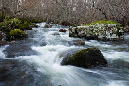 Long exposure of a mountain river and forestの写真素材