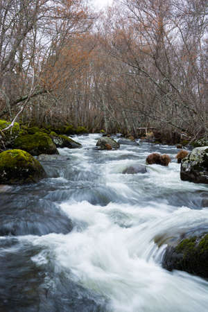 Long exposure of a mountain river and beautiful forest in the winterの写真素材