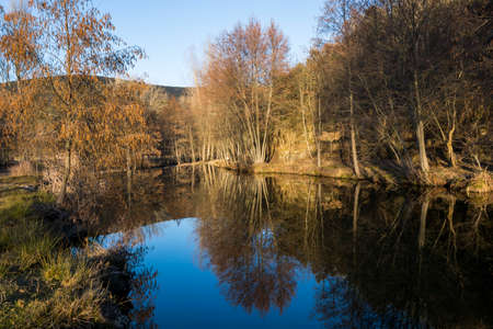 Mirror effects of a beautiful forest in a riverの写真素材