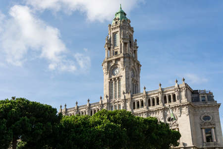 Porto City Hall. Pine trees. Blue sky with clouds. Tower.